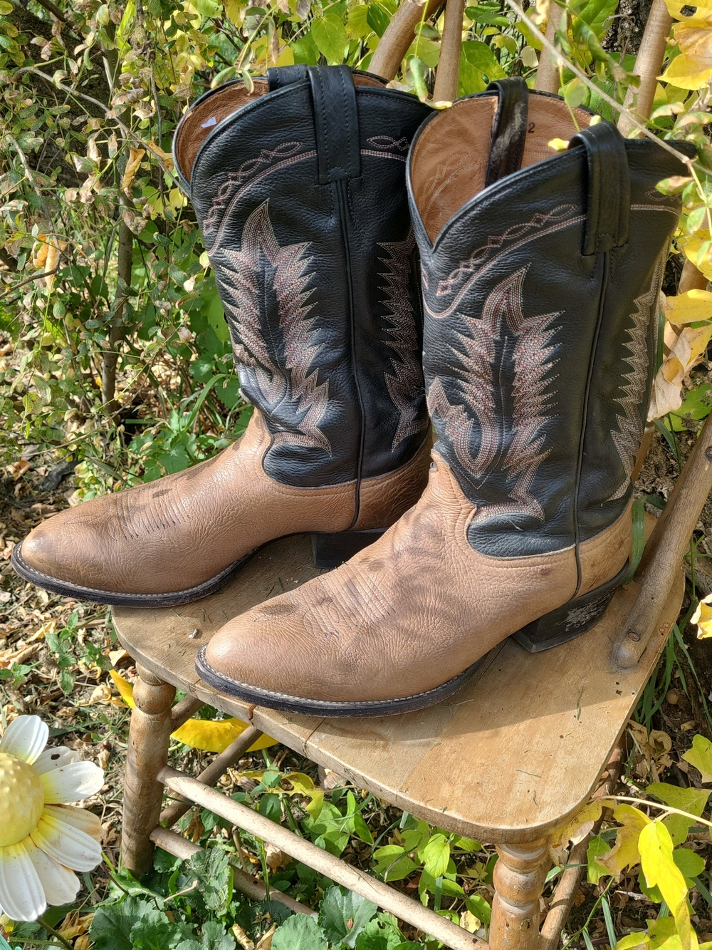Tony Lama Men’s Western Cowboy Boots – Size 12 EE